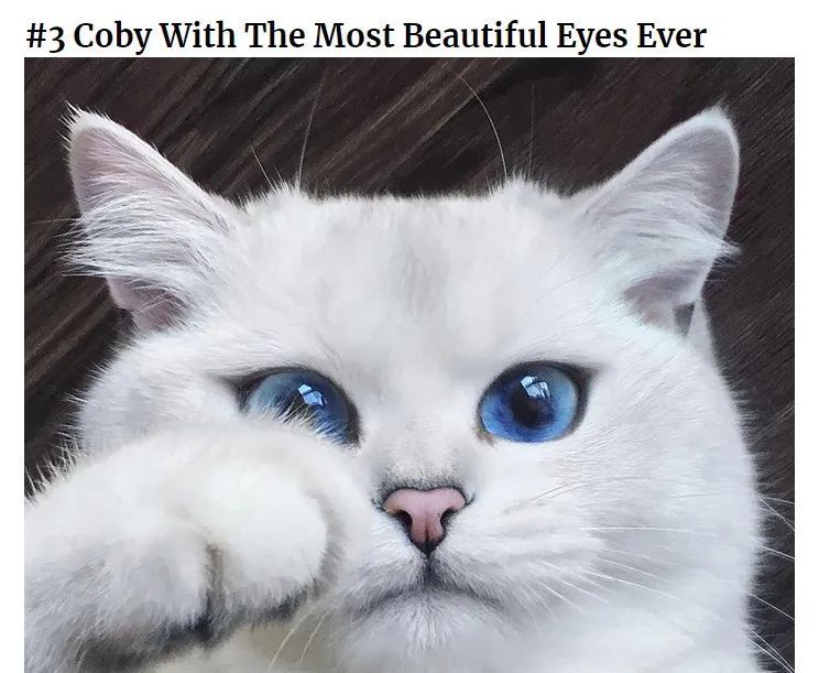 最美蓝眼睛