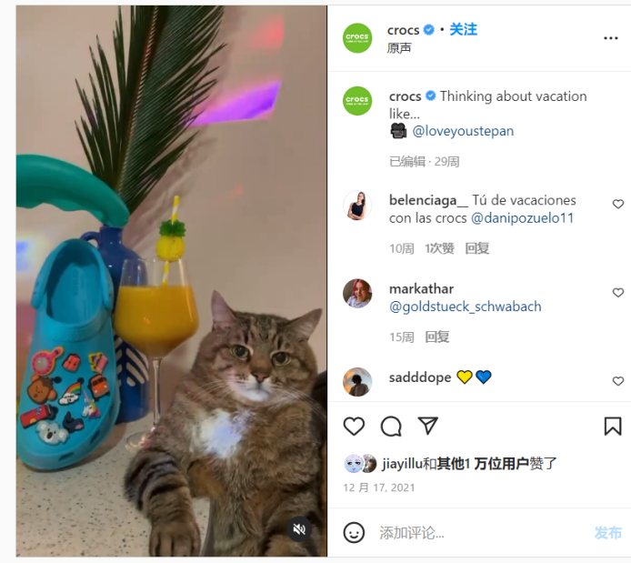 网红猫咪Stepan为Croc宣传