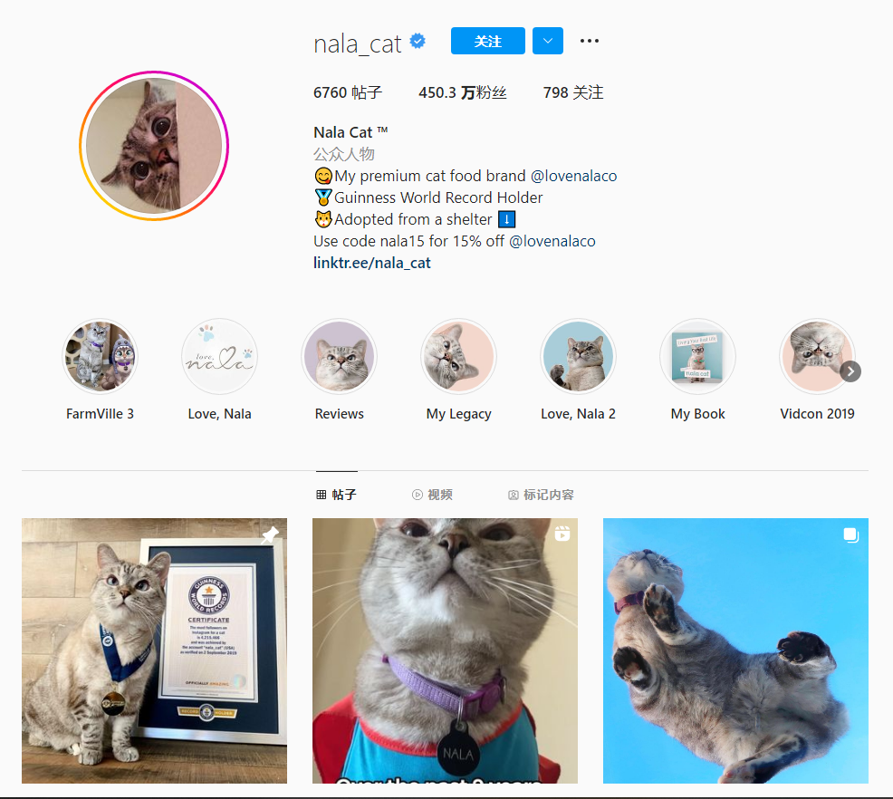 网红小猫Nala Cat的社媒主页