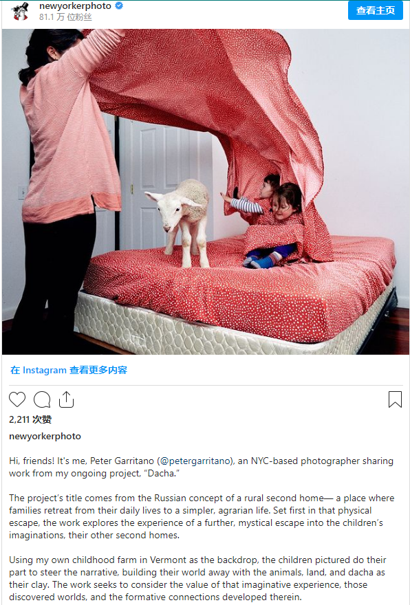 摄影师Peter Garritano接管NewYorkerPhoto的Instagram账号