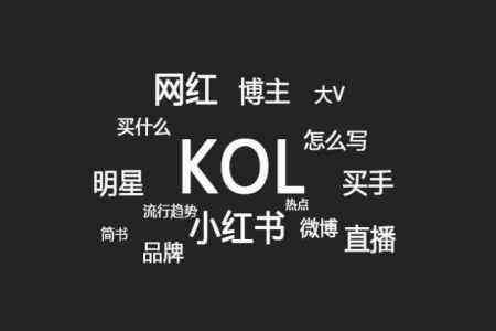 如何做好海外网红KOL营销：对症下药