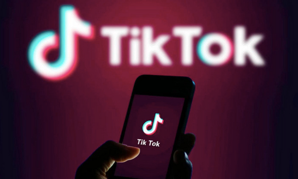 2020TikTok最佳品牌营销案例